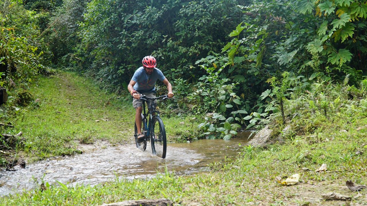 Aventura en la selva